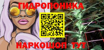 Альфа ПВП Гулькевичи