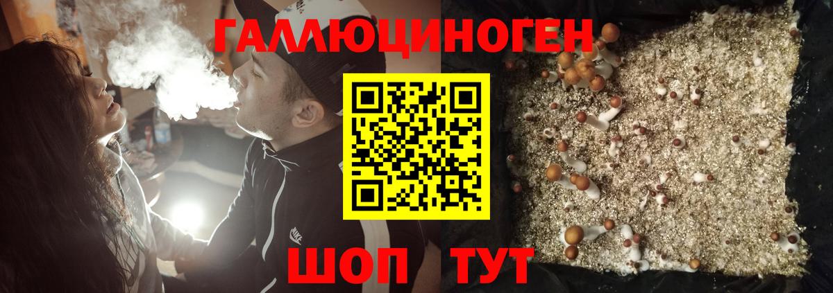 Гагарин  Псилоцибиновые грибы MAGIC MUSHROOMS  Вход с VPN  Псилоцибиновые грибы Psilocybine cubensis 
